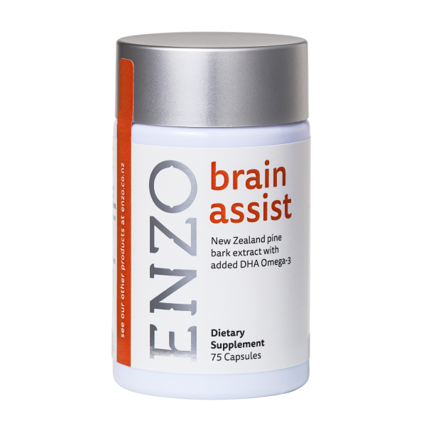 Nootropic Pine Bark Extract - High Quality - ENZO Brain Assist